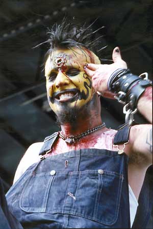 mudvayn